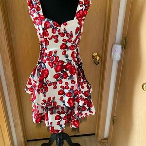 NWT GORGEOUS cotton sateen wht-red rose dress, tulle petticoat. Sz M/8, side zip